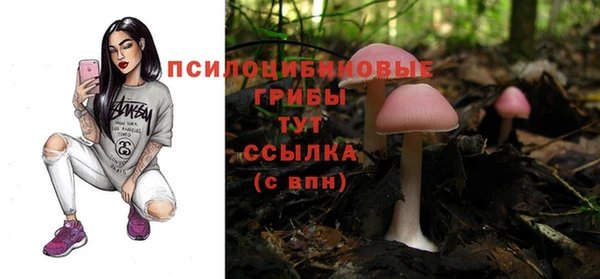 jwh Горно-Алтайск