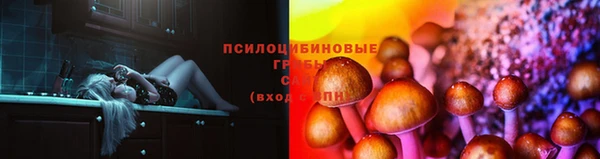 jwh Горно-Алтайск