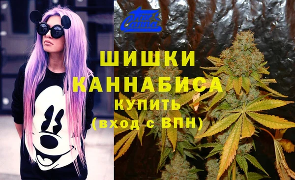 бутират Горнозаводск