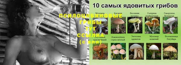 альфа пвп Горняк